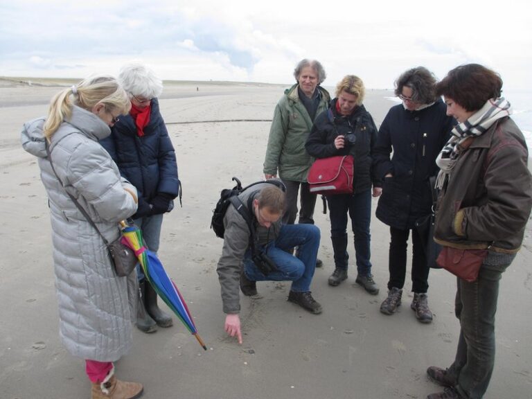 Excursie Groene Strand Zandmotor — natuur in 's-Gravenzande