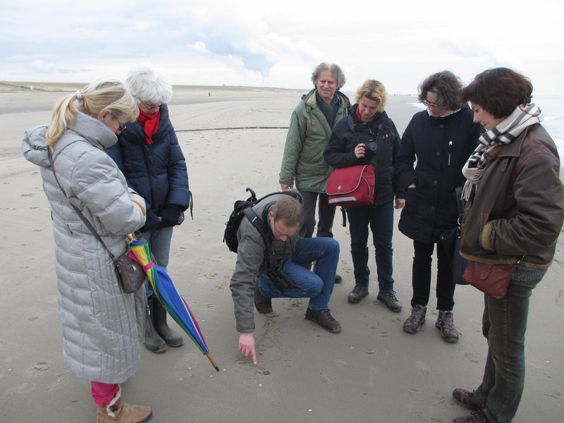 Excursie Groene Strand Zandmotor in 's-Gravenzande