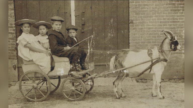 Gratis inloopspreekuur familieonderzoek – Westland Museum
