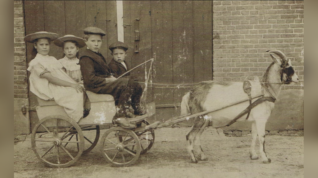 Gratis inloopspreekuur familieonderzoek – Westland Museum in 's-Gravenzande